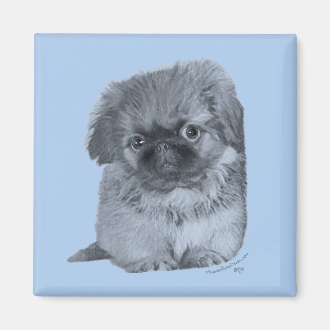 Pekingese Puppy Blue Magnet (Front)