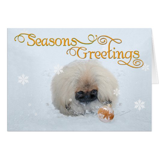 Pekingese Puppy First Christmas (Front Horizontal)