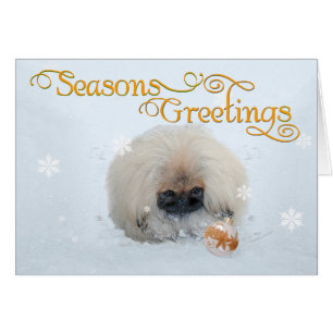 Pekingese Puppy First Christmas Cards