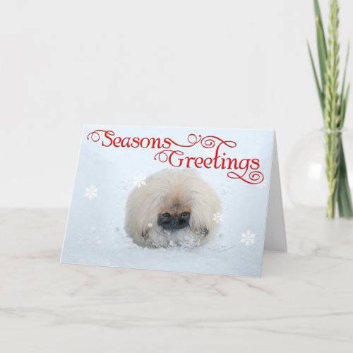 Pekingese Puppy First Christmas Holiday Card