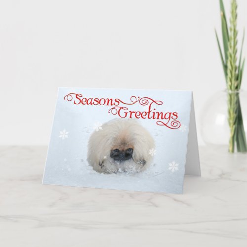 Pekingese Puppy First Christmas Holiday Card