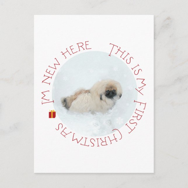 Pekingese Puppy First Christmas Holiday Postcard (Front)