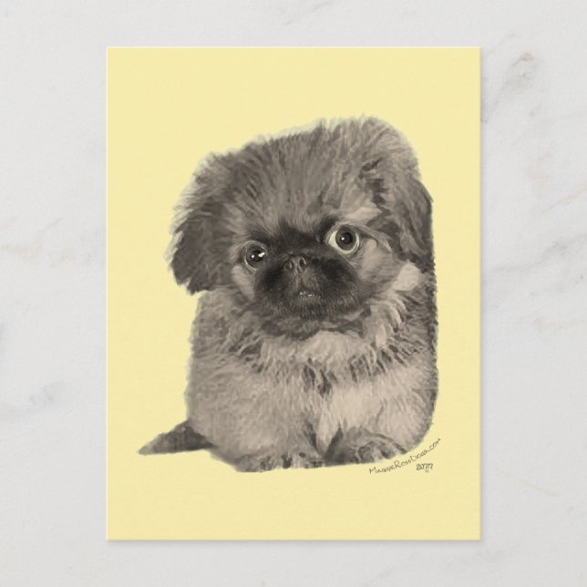 Pekingese Puppy Yellow Postcard (Front)