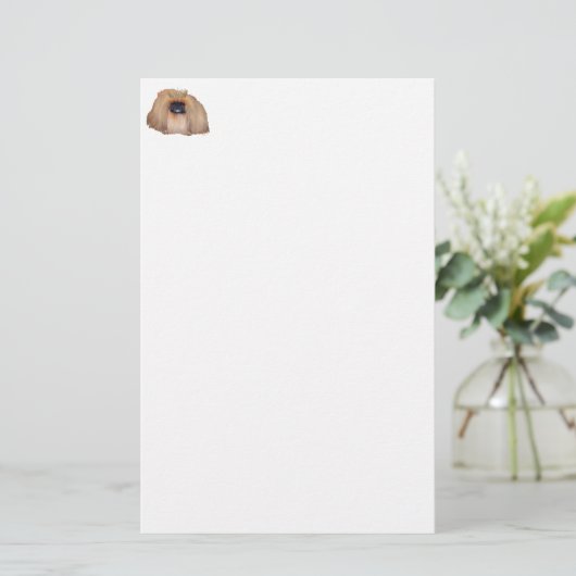 Pekingese Queen (Standing Front)