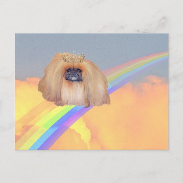 Pekingese Rainbow Postcard (Front)