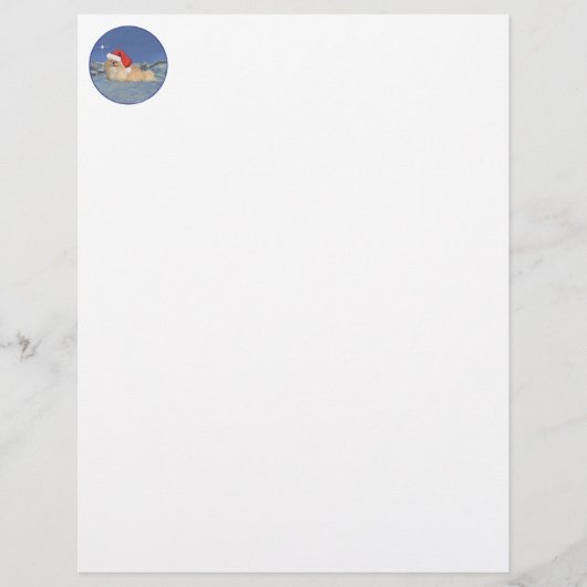 Pekingese Santa Claus (Front)