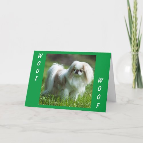 Pekingese Says WOOF WOOF happy birthday Card