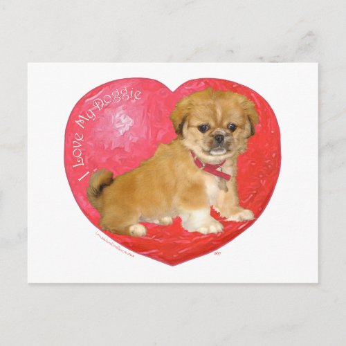 Pekingese  Shih Tzu Mix Valentines Day Holiday Postcard