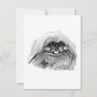 Pekingese Stationery - blank card "JenaSota"