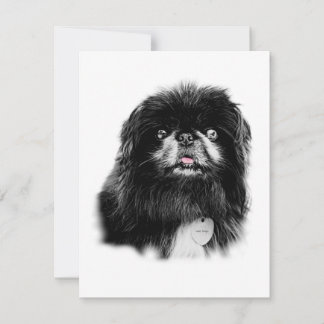Pekingese Stationery - blank card "Mork"