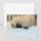 Pekingese Thinking Big (Front/Back)