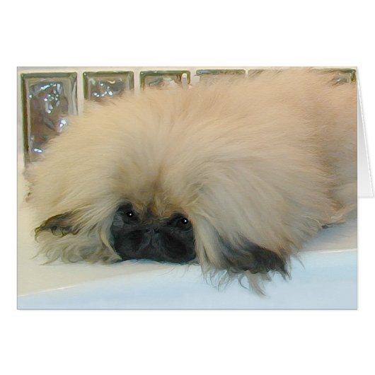 Pekingese Thinking Big Cards (Front Horizontal)