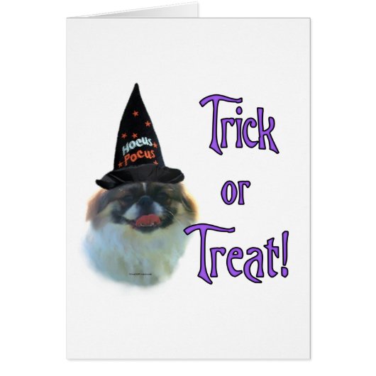 Pekingese Trick Cards (Front)