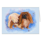 Pekingese True Blue (Front Horizontal)