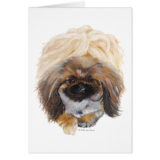 Pekingese Tuffy Cards (Front)