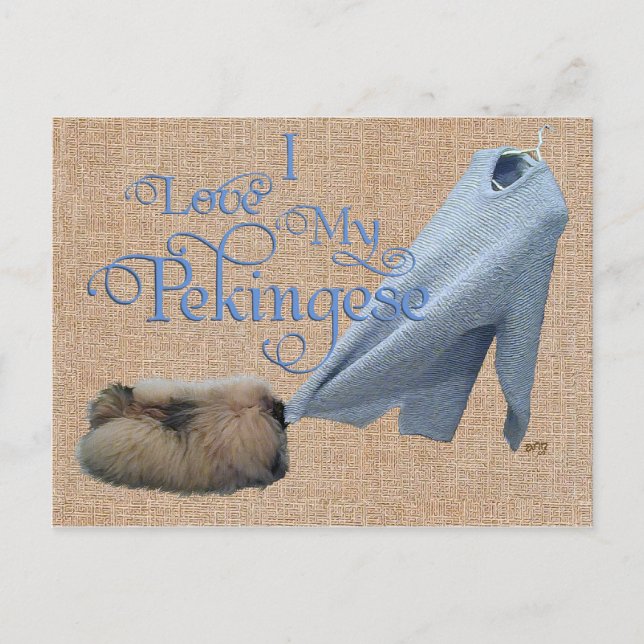 Pekingese Tug-O-War Postcard (Front)
