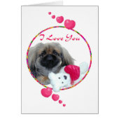 Pekingese Valentine (Front)