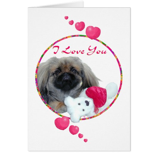 Pekingese Valentine Cards (Front)