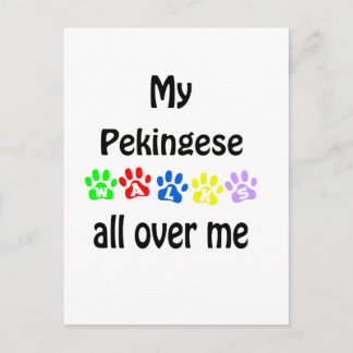 Pekingese Walks Design Postcard