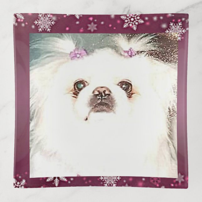 pekingese white dog trinket tray (Front)