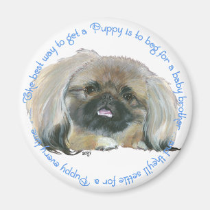Pekingese Wisdom - How to get a Puppy Magnet