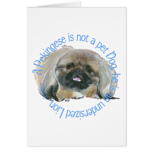 Pekingese Wisdom - Undersized Lion ! (Front)