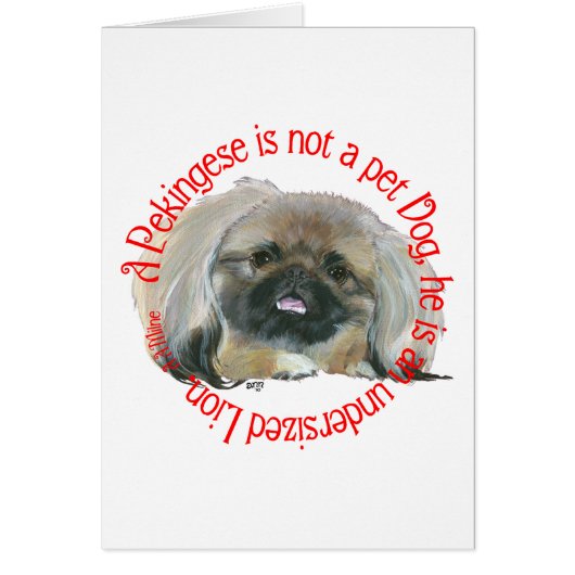 Pekingese Wisdom - Undersized Lion ! (Front)