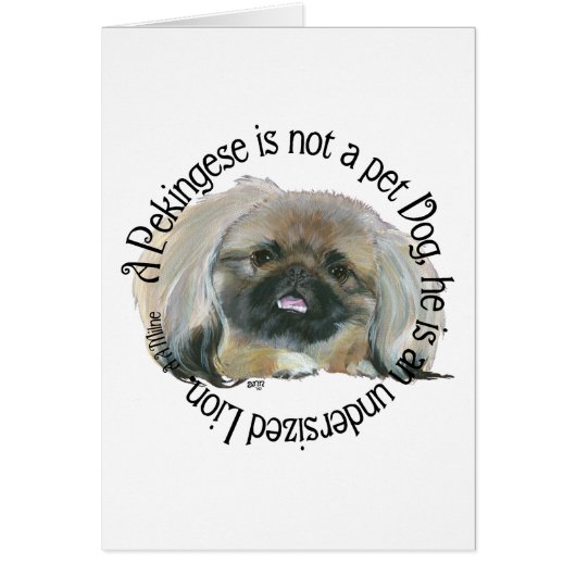 Pekingese Wisdom - Undersized Lion ! Cards (Front)