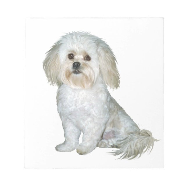 Pekkapoo (Peek-a-Poo) Notepad (Front)