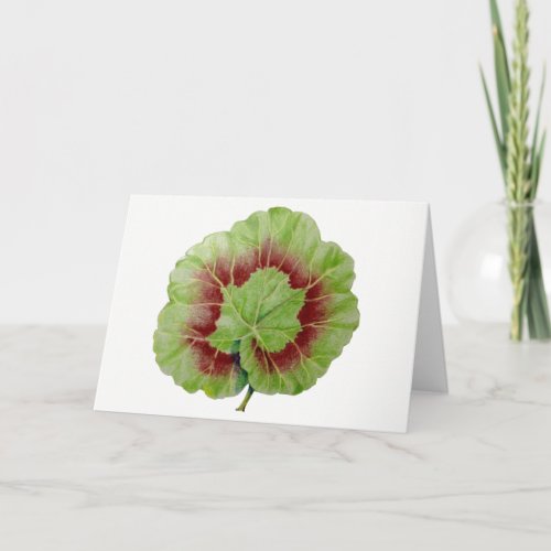 Pelargonium Geranium Leaf Greeting Card