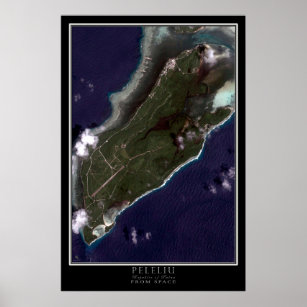 Detailed WWII World Map 1942 Poster, Zazzle