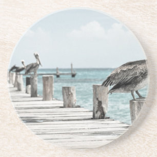 pelican-33 sandstone coaster