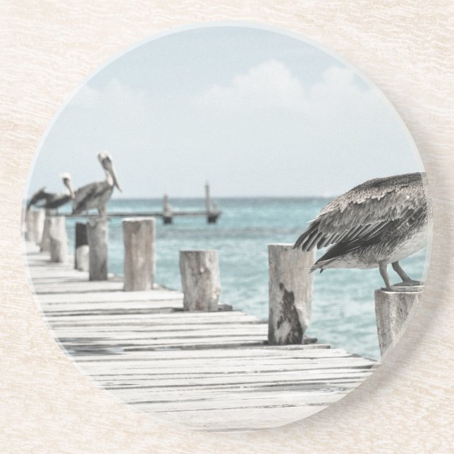 pelican-33 sandstone coaster (Front)