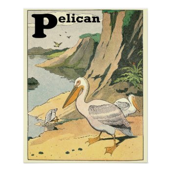 Pelican Alphabet Animal Perfect Poster by kidslife at Zazzle
