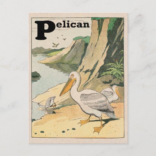 Pelican Alphabet Postcard