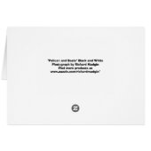 Pelican and Boats (BandW) Cards (Back Horizontal)