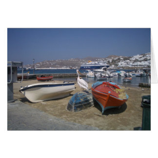 Pelican and Boats Cards