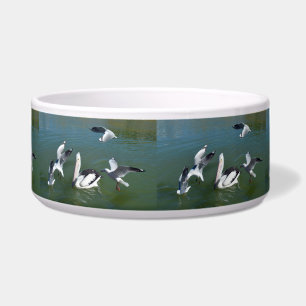 Pelican And The  Gate Crashers,  Bowl