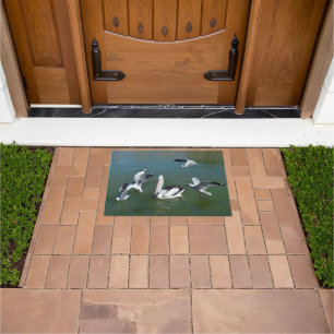 Pelican And The Gate Crashers, Doormat