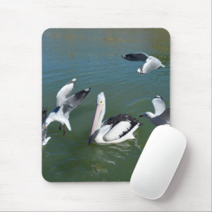 Pelican And The  Gate Crashers,  Mouse Pad