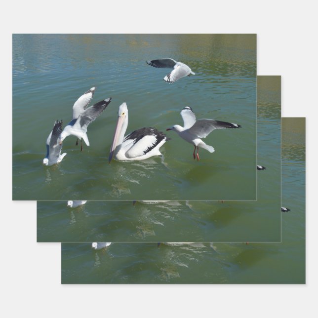 Pelican And The  Gate Crashers,  Wrapping Paper Sheets (Set)