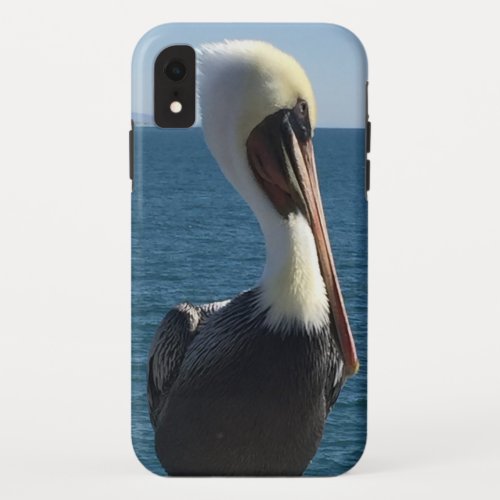 Pelican Apple iPhone XR Case