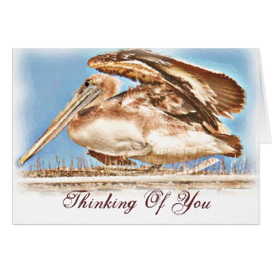 Pelican Awaits_ (Front Horizontal)