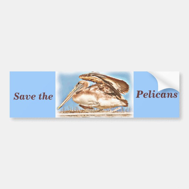 Pelican Awaits_ Bumper Sticker (Front)