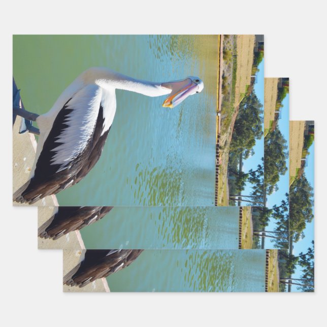 Pelican Back Chat, Wrapping Paper Sheets (Set)