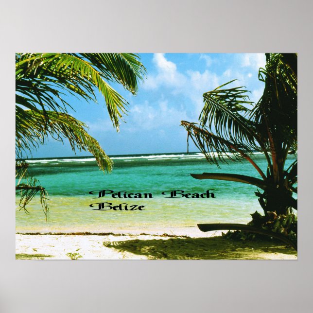 Pelican Beach Belize Poster (Front)