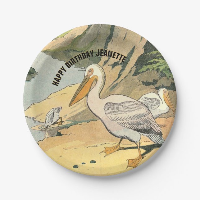 Pelican Beach Illustration Birthday Paper Plates (Front)
