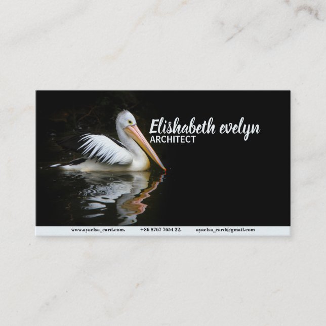 pelican bird sea birds water business card (Front)