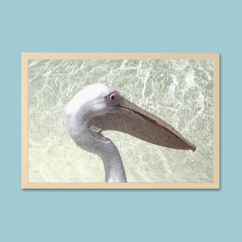 Pelican Bird Watercolor Framed Art