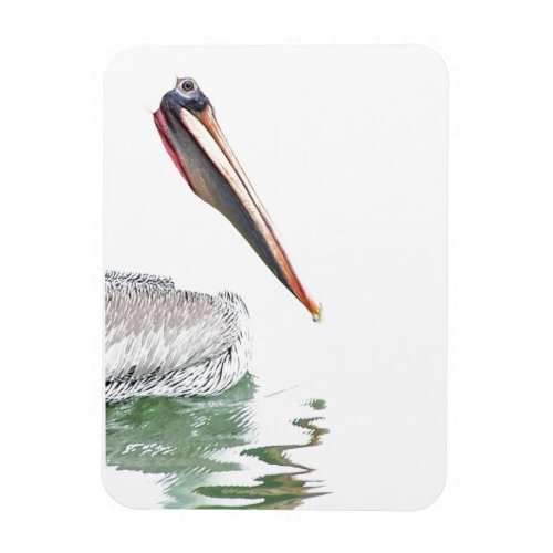 Pelican Birds Wildlife Animals Beach Magnet